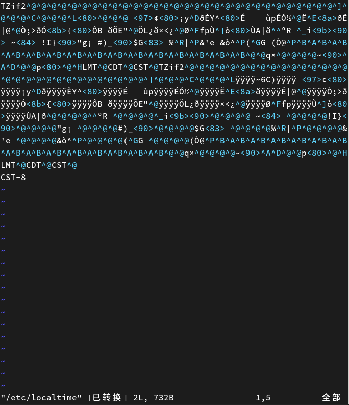 /etc/localtime