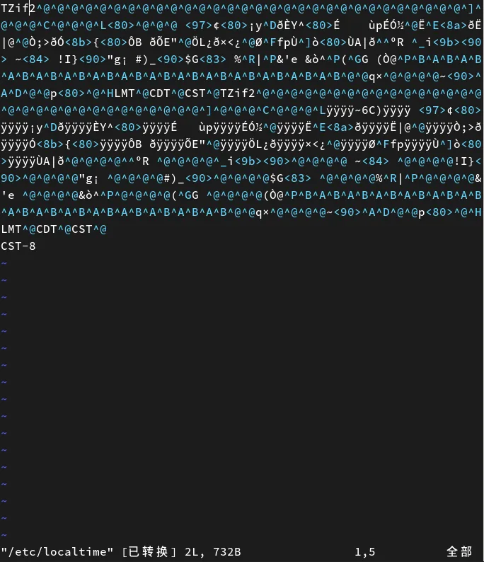 /etc/localtime